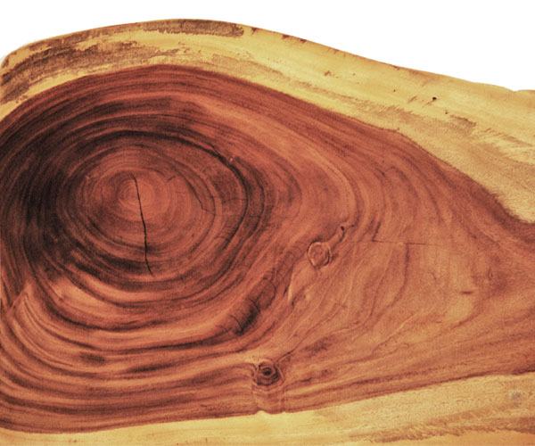 Qué tipo de madera se usa para hacer muebles?? Parte 1: Maderas duras -  Blog sobre la compra y venta de artículos usados | Tesoros Bazar